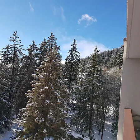 Sorecrans Apartment Crans-Montana