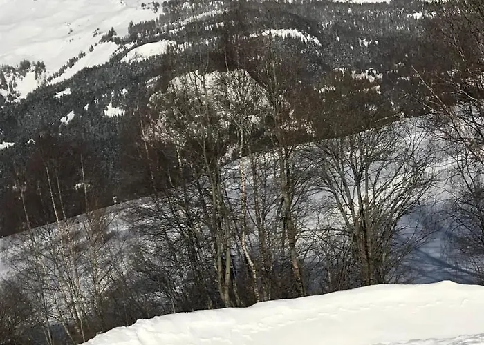 Sorecrans 公寓 克莱恩 蒙塔纳